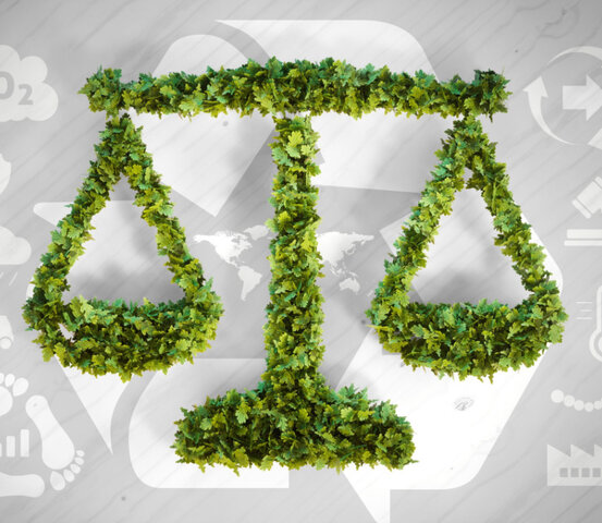 Ontario Environmental Bill of Rights