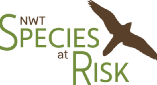 Species at Risk Act