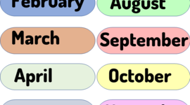 Timeline: activity timeline for our project