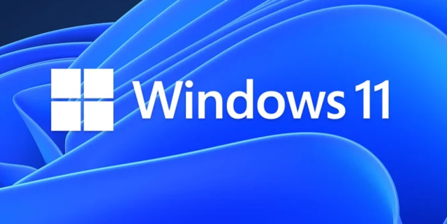 Windows 11