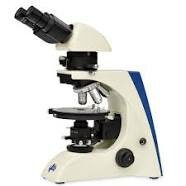 Microscopio