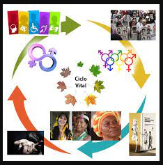 Plan sectorial 2002 - 2006