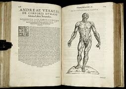 Anatomía y disección