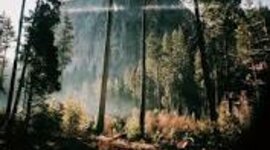 Timeline: Social Media Timeline