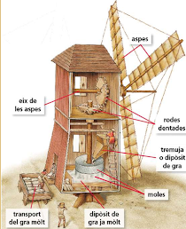 CAUSES DEL CREIXEMENT A LES CIUTATS.