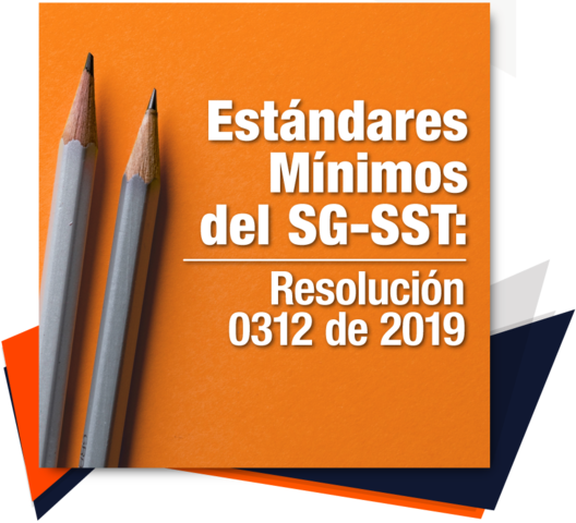 Resolución 0312 de 2019