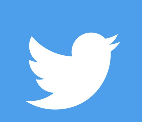 I Thought I Saw A Tweety Bird