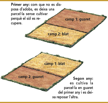 LES CAUSES DEL CREIXEMENT DE LES CIUTATS