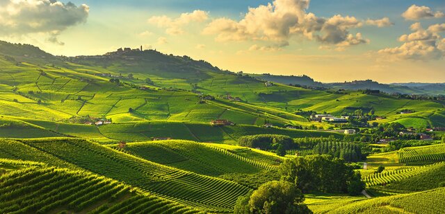 CREACIÓN DE LA AGRICULTURA