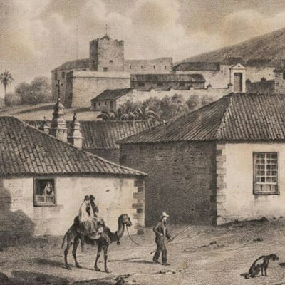 Timeline: Sociedad Adeje