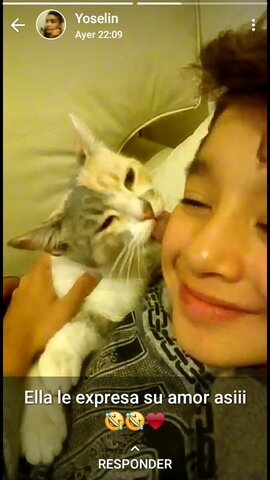 llego su primera mascota felina