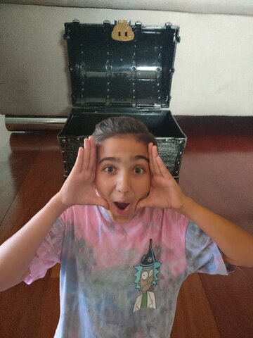 THE MISTERIOUS CHEST