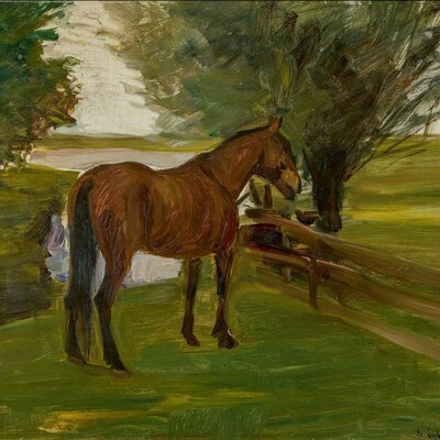 Timeline: CRONOLOGÍA: Proyecto de caballos