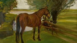 Timeline: CRONOLOGÍA: Proyecto de caballos