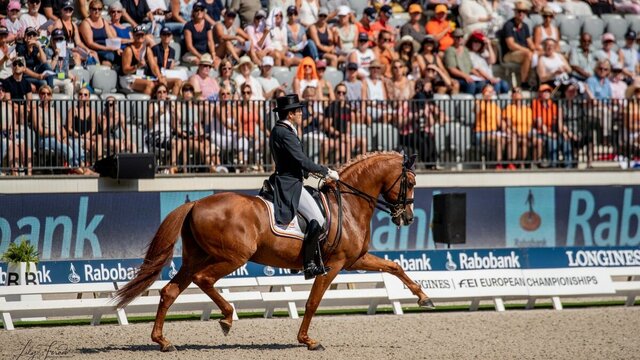 El Campeonato de Europa de Doma Clásica en Madrid en 2011