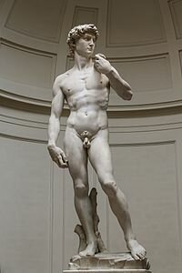 Creació del David de Michelangelo Buonarroti