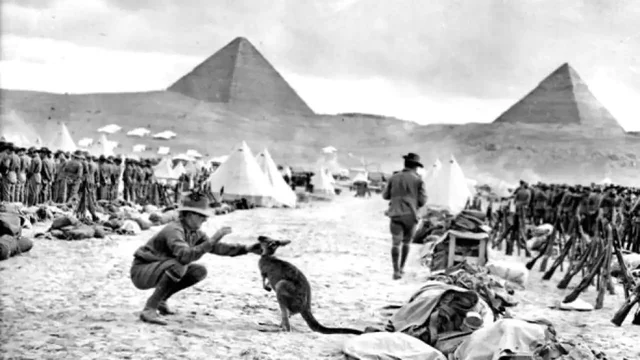 Units of the AIF (Australian Imperial Force) began disembarking at Egypt