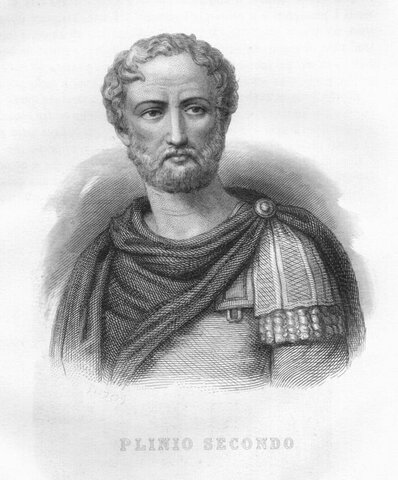PLINIO EL VIEJO