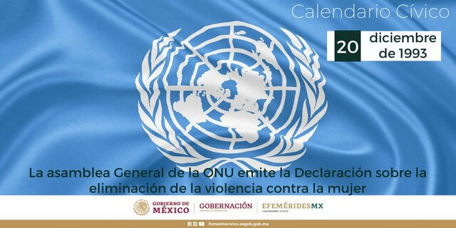 Declaración sobre la eliminación de la violencia contra la mujer.