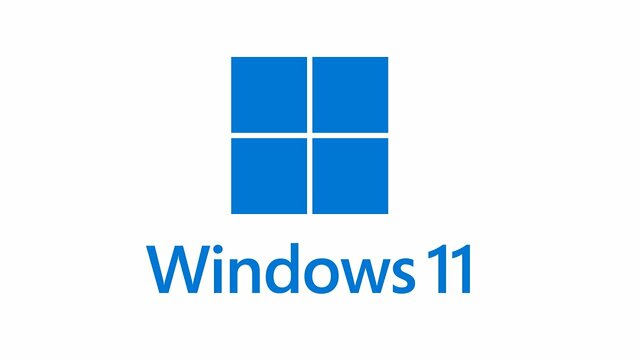 Windows 11