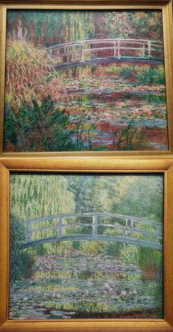 LO STAGNO DELLE NINFEE, Monet