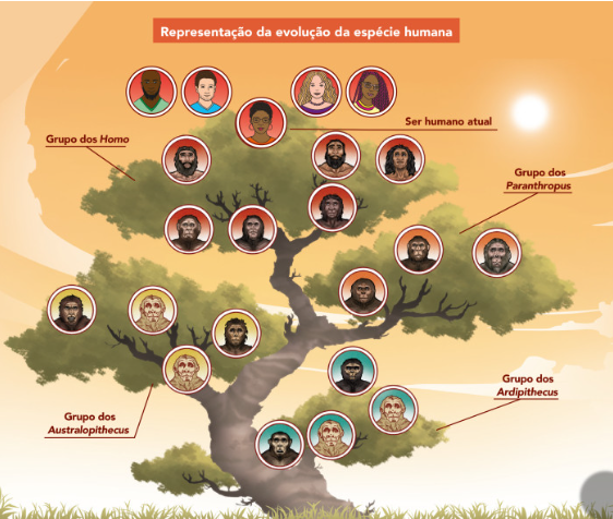 Árvore genealógica dos seres humanos