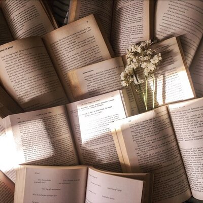 Timeline: Educación