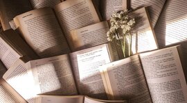 Timeline: Educación