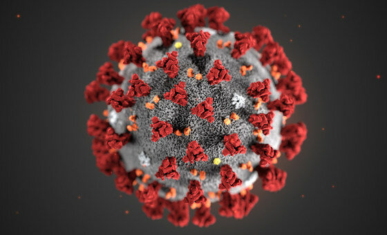 CORONAVIRUS