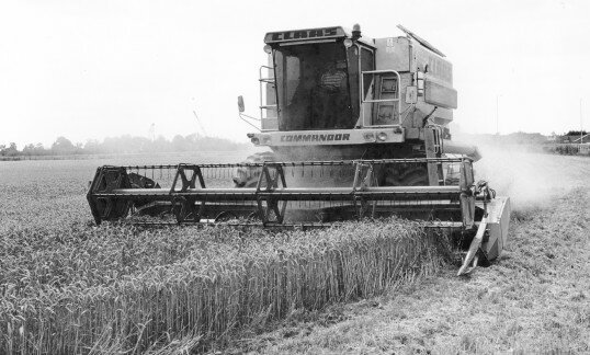 Combine harvester