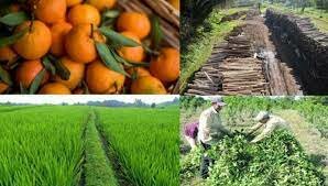 CORRIENTES- ECONOMIA