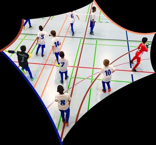 Concepción de la disciplina basada en el deportivo