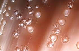 Hace 3500 millones de años