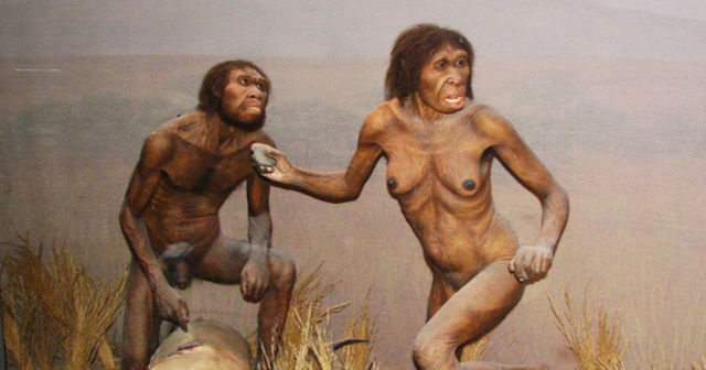 Hace 1,5 millones de años