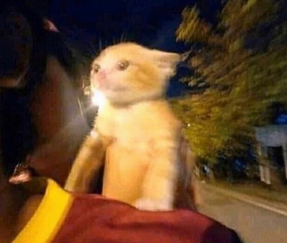 revivicion y nacimiento metaforico