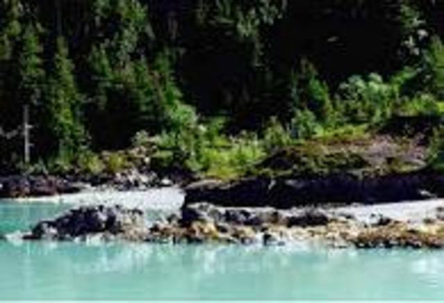 Brian woke up from plane crash