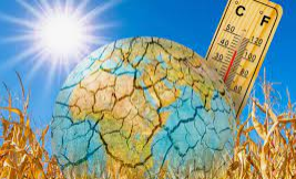Record hot year // რეკორდულად ცხელი წელი