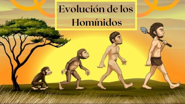 Primeros hominidos