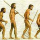 Evolucion de trabajo