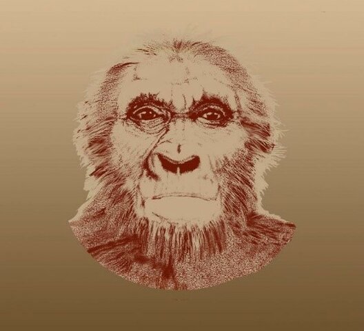 Ardipithecus Kadabba (5,77 y 5,2 M.A)