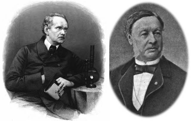 A Schleiden and Schwann type of Proposal