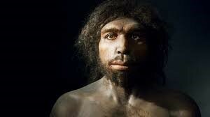 Homo Antecesor (8000 M.A)