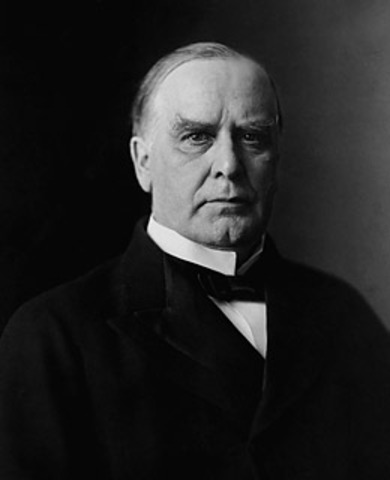 William McKinley Elected President