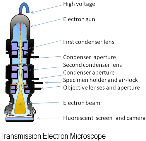 Electron Microscopes