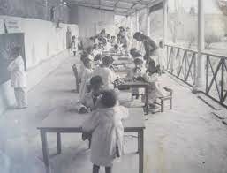 Nuevos programas de formación