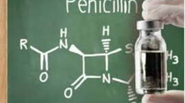 Timeline: Історія відкриття пеніциліну
