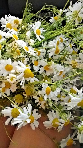 История продолжается