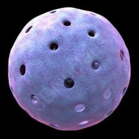 First Discovery of Nucleus