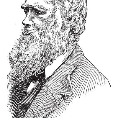 Timeline: Charles Darwin