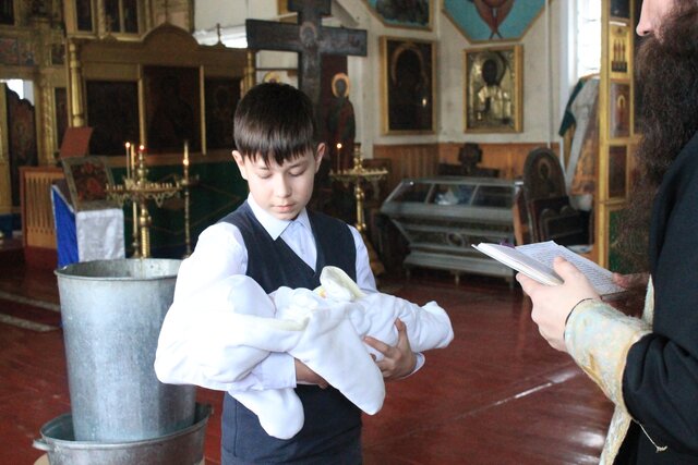 Пополнение семейства